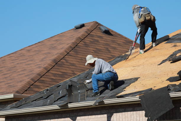 Best Metal Roofing Installation  in Newhall, IA